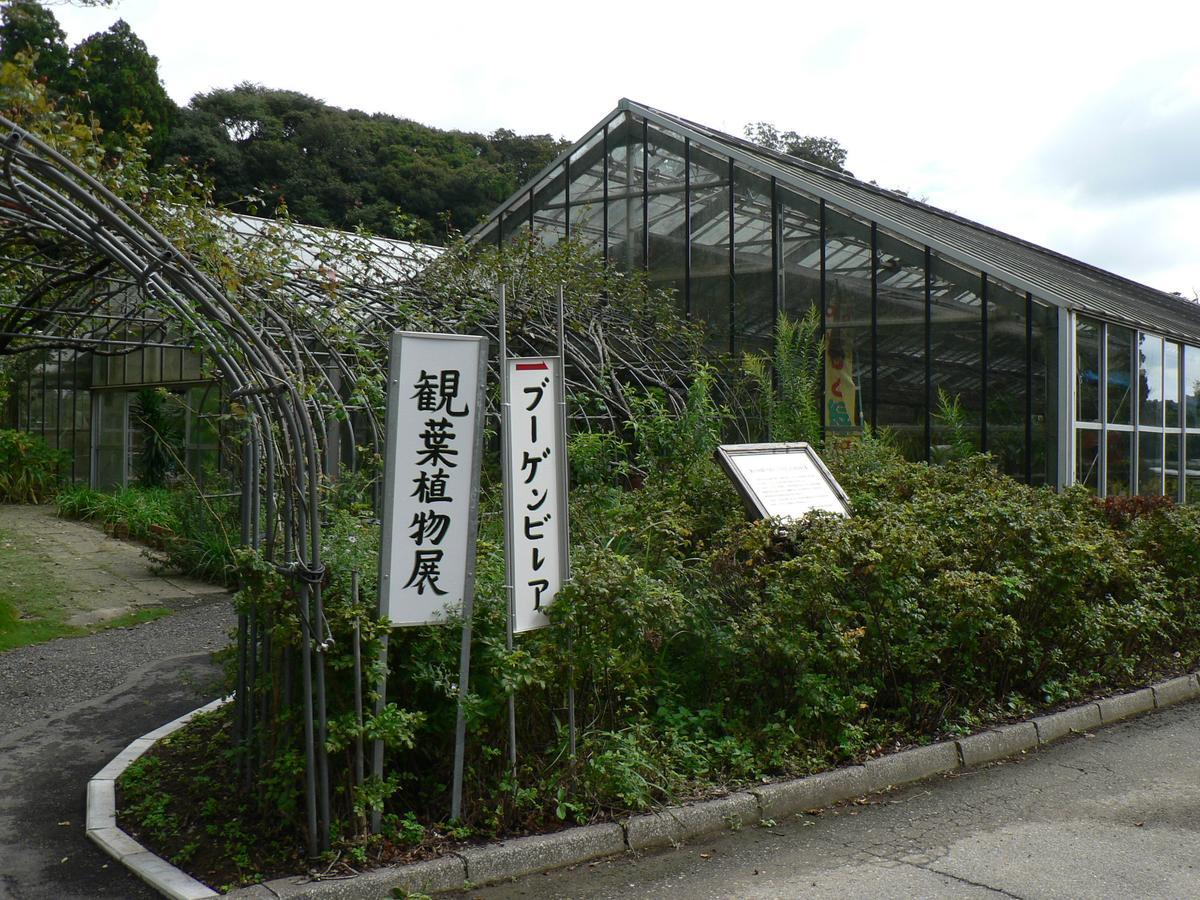 Hotel New Kanei Shirako Extérieur photo